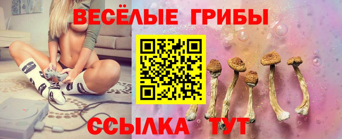 Уссурийск  Галлюциногенные грибы мицелий  Галлюциногенные грибы GOLDEN TEACHER  Вход с VPN 